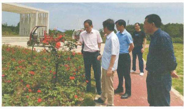 湖北统筹规划林木种苗顶层设计