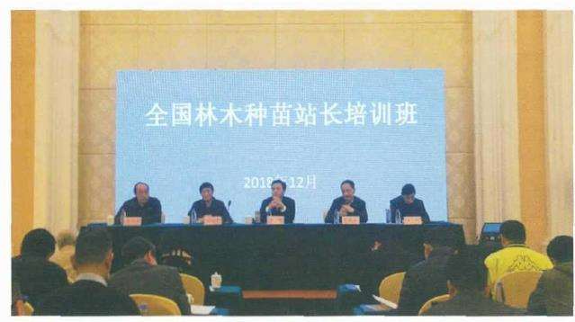 湖北统筹规划林木种苗顶层设计