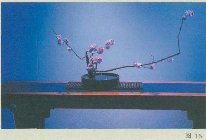 重视中国传统插花木本花材的运用