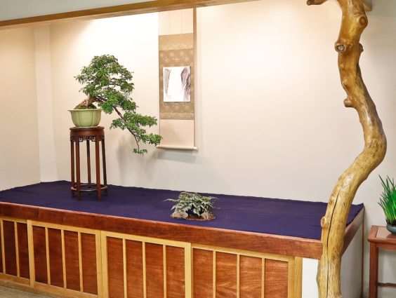 老外制作的鸡血藤盆景