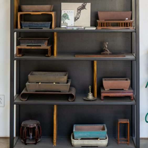 老外参观盆景花园的经验教训 图片