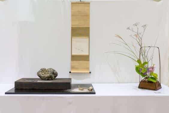 红木帝国盆景协会第35届年度展 图片