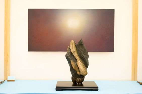 Mas Nakajima的盆景水石艺术 图片