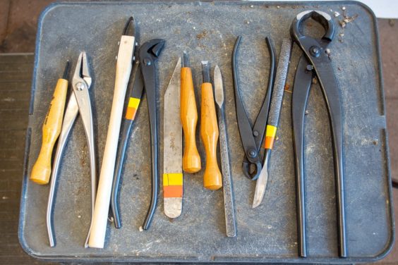 图解 盆景初学者怎么雕刻的3个技巧