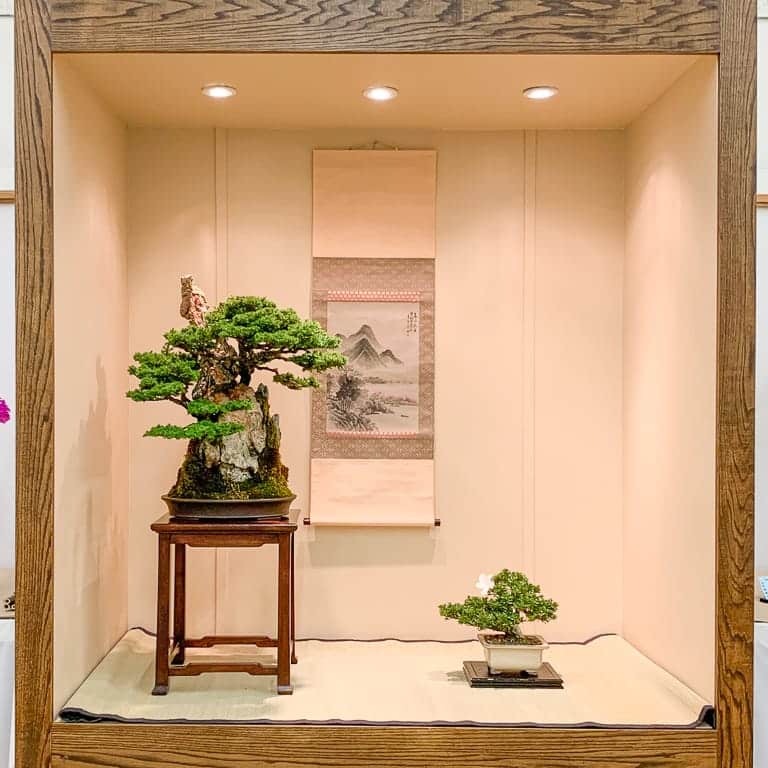 2021 加州大和盆景会第50届展览 图片