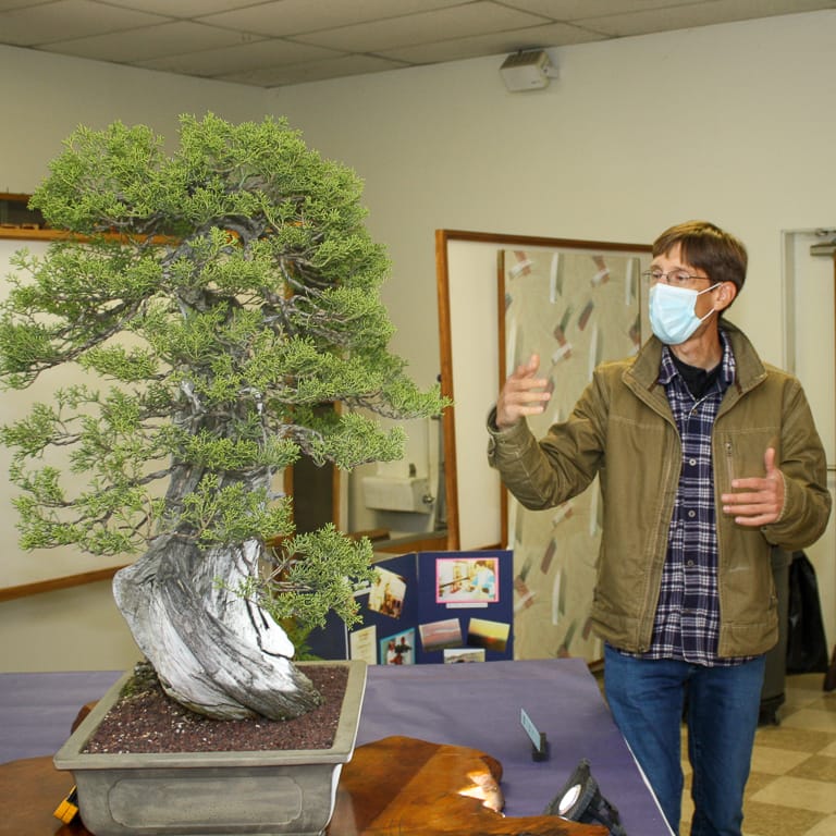 2021 加州大和盆景会第50届展览 图片