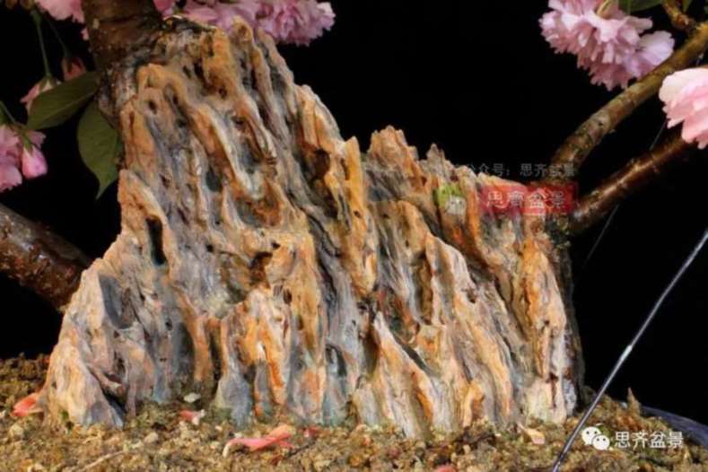 图解 一棵废弃下山桩是怎么制作盆景的