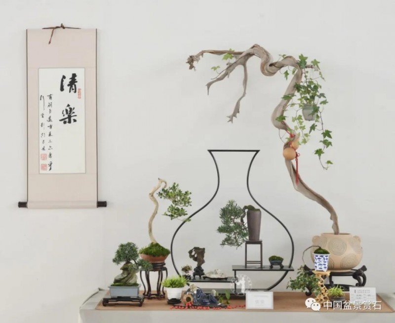 小微盆景布展如何创新升级的建议与思路