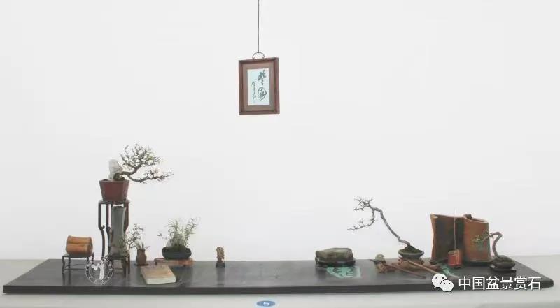 小微盆景布展如何创新升级的建议与思路