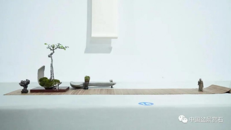 小微盆景布展如何创新升级的建议与思路