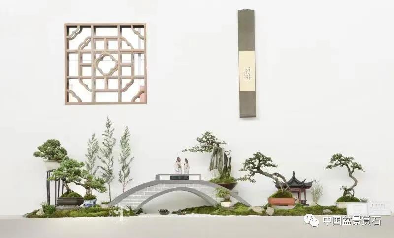 小微盆景布展如何创新升级的建议与思路