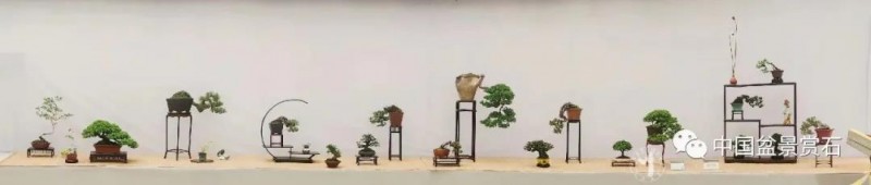 小微盆景布展如何创新升级的建议与思路