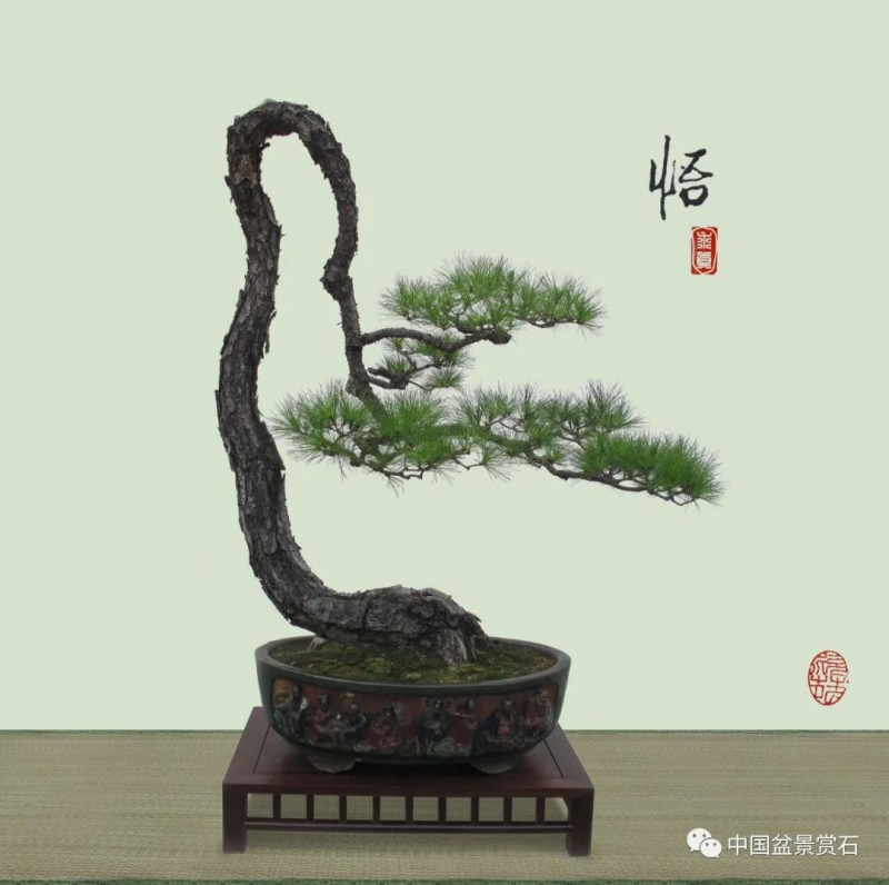 盆景意境的审美体系构成与创构途径 图片