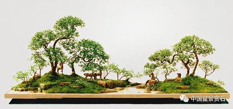 盆景意境的审美体系构成与创构途径 图片