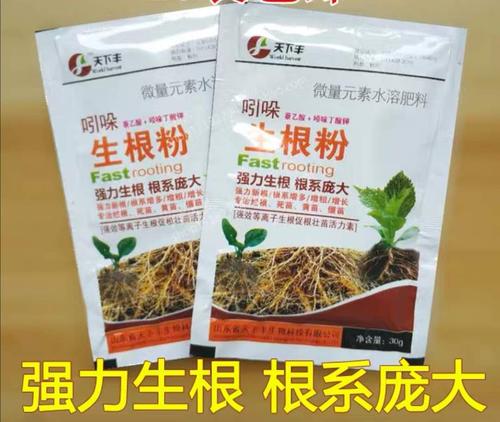 花木扦播繁殖怎么使用911生根素的3个方法