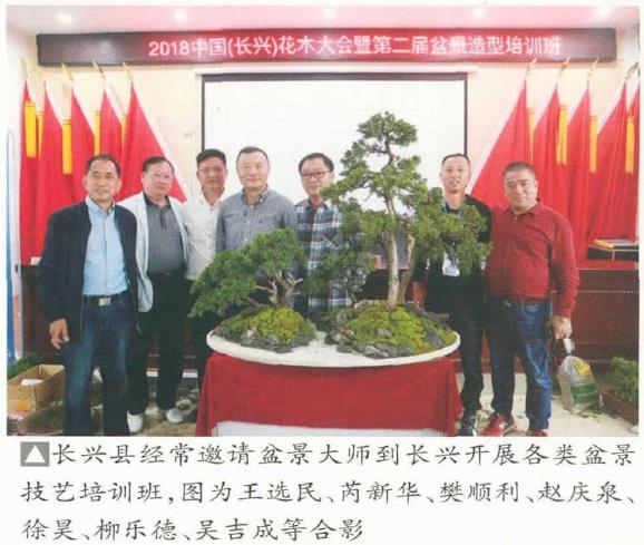 长兴县盆景