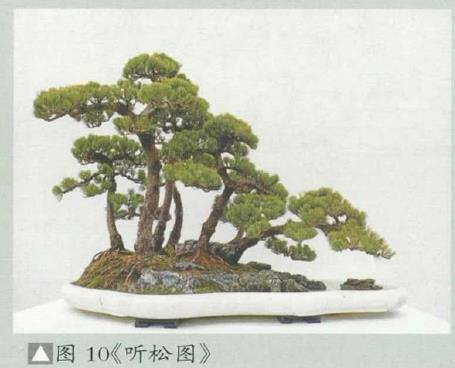 图解 姜文华怎么制作丛林盆景的24个过程