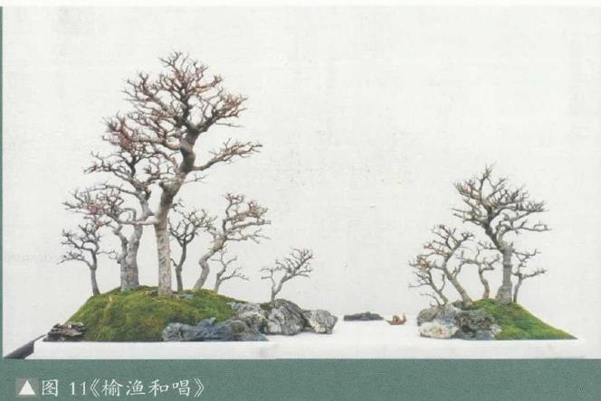 图解 姜文华怎么制作丛林盆景的24个过程