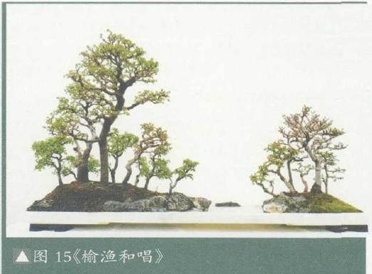 图解 姜文华怎么制作丛林盆景的24个过程