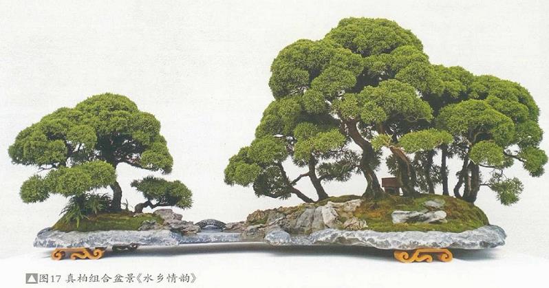 图解 姜文华怎么制作丛林盆景的24个过程