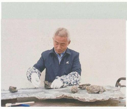 图解 姜文华怎么制作丛林盆景的24个过程