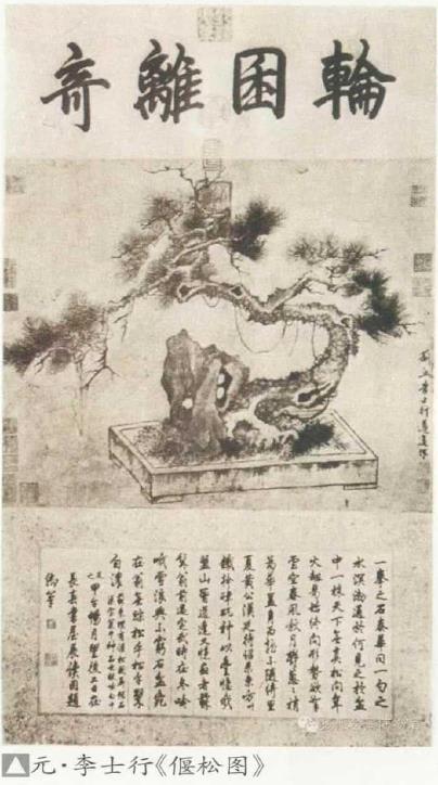 沐阳盆景的3个文化溯源 图片