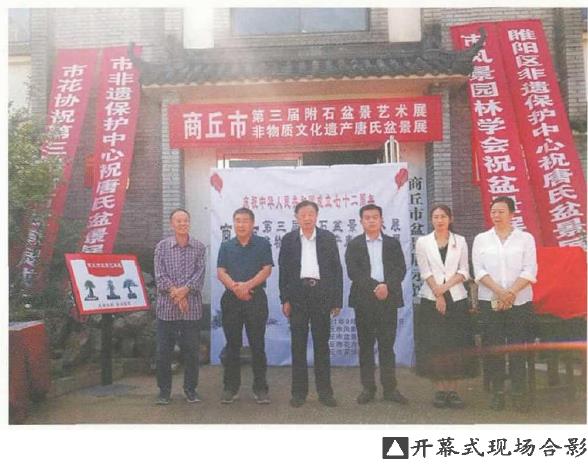 商丘市第三届附石盆景展