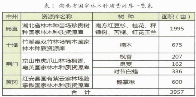 湖北省林木种苗场珍贵树种的种质资源库