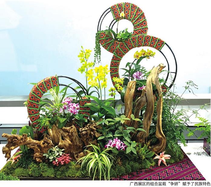 植物组合盆栽发展的3个新方向 图片