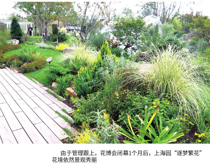 花境养护跟不上的3个主要原因 图片