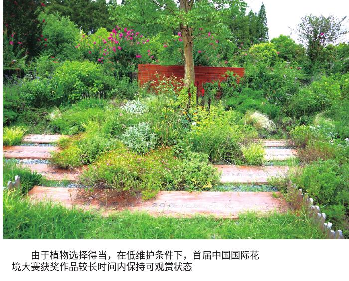 花境养护跟不上的3个主要原因 图片