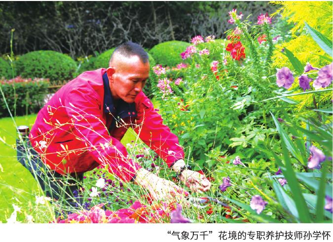 花境养护跟不上的3个主要原因 图片