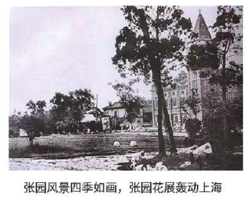 上海滩的一大传统 热衷办花展