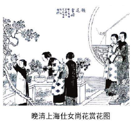 上海滩的一大传统 热衷办花展