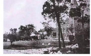 上海滩的一大传统 热衷办花展