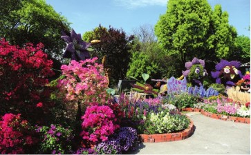 上海花会水平之高缘因海纳百川 图片