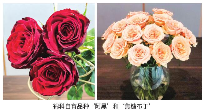 2019年12月台北切花的市场行情