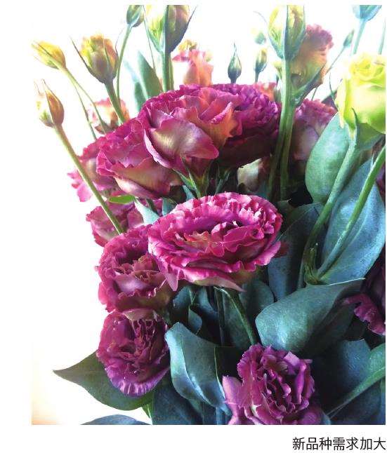 劳动力成本增加花卉产销环节