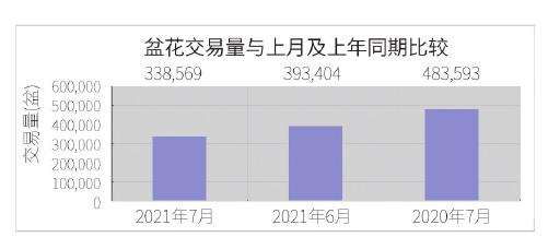 2021年7月 台北花卉市场盆花行情
