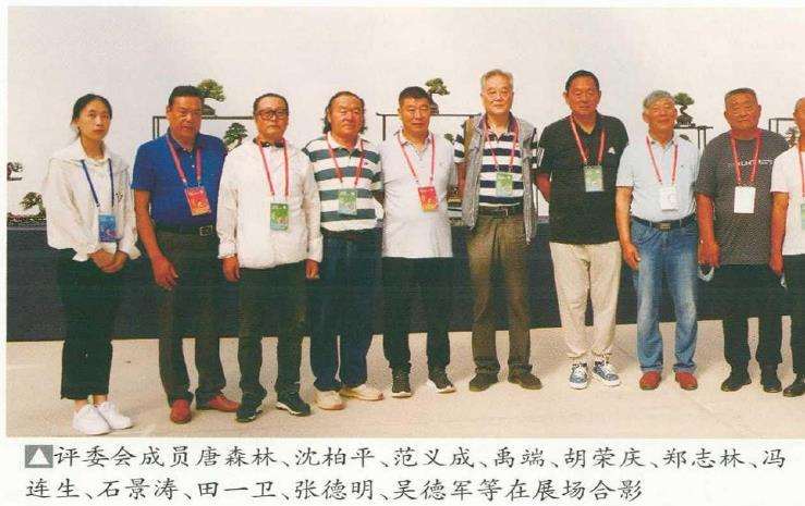 2021年 第九届沐阳花木盆景节