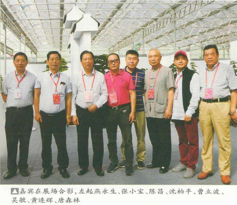 2021年 第九届沐阳花木盆景节