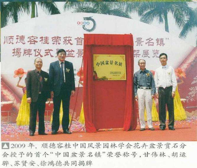 中国盆景看岭南 岭南盆景看顺德 图片