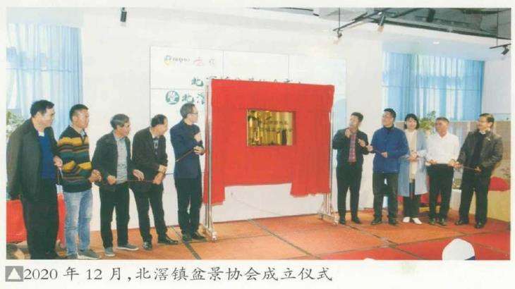 中国盆景看岭南 岭南盆景看顺德 图片