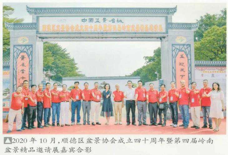 中国盆景看岭南 岭南盆景看顺德 图片