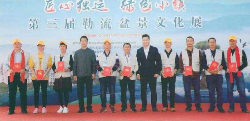 中国盆景看岭南 岭南盆景看顺德 图片