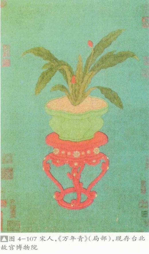 芭蕉盆景和石菖蒲盆景是什么