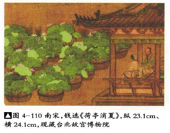 南宋 庭园中摆饰盆栽荷花较为常见