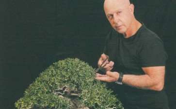 以色列盆景艺术家 Moshe Emergui 图片