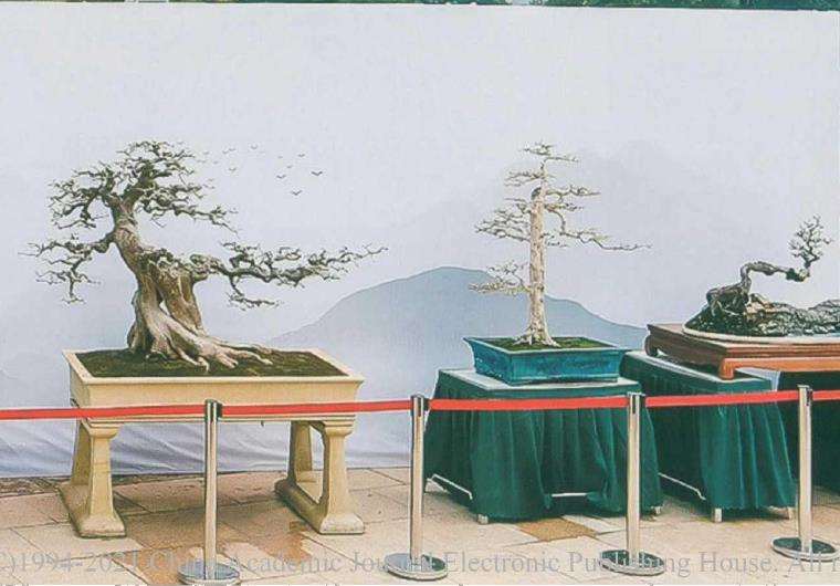 2021 景名城顺德第三届盆景大展成功举办