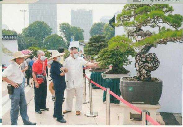 2021 景名城顺德第三届盆景大展成功举办
